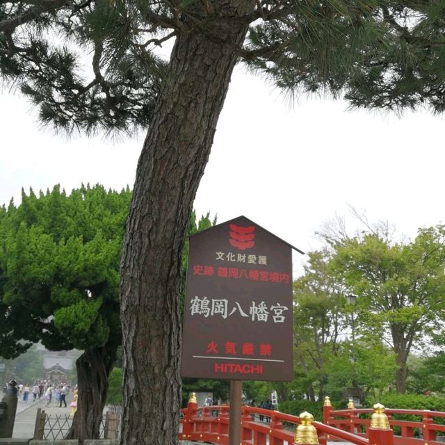 在鐮倉邂逅千年時光｜鶴岡八幡宮穿越指南