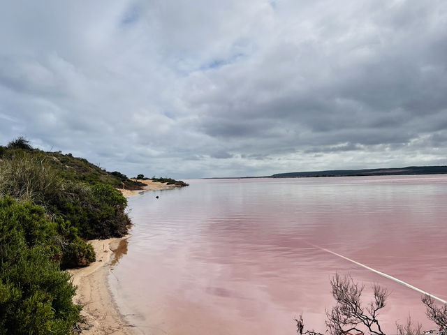 澳洲 Hutt Lagoon 粉紅湖:夢幻湖泊的空中饗宴 澳洲 Hutt Lagoon 粉紅湖:夢幻湖泊的空中饗宴