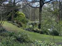 Ayrlies Garden and Wetlands