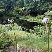 Ayrlies Garden and Wetlands