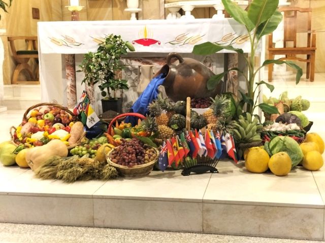 ✝️Evening Mass In Sydney✝️ ✝️Evening Mass In Sydney✝️