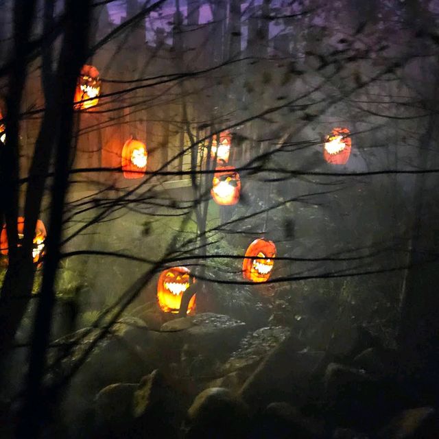 Tulleys Shocktober Fest Tulleys Shocktober Fest