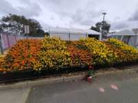 💐Floriade Day Part 1💐