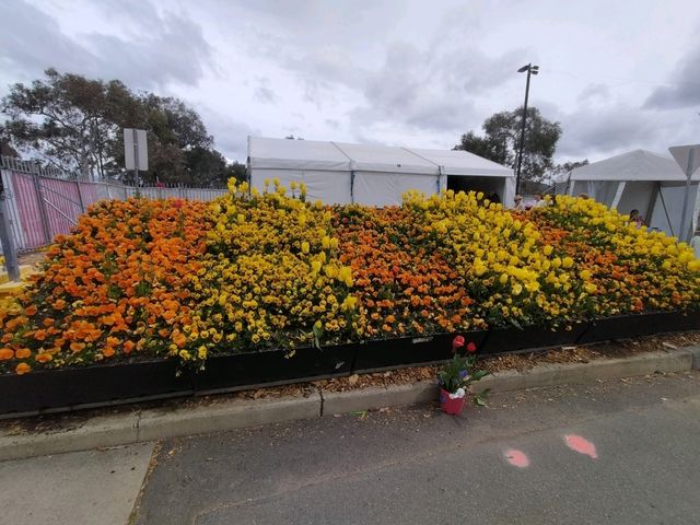 💐Floriade Day Part 1💐