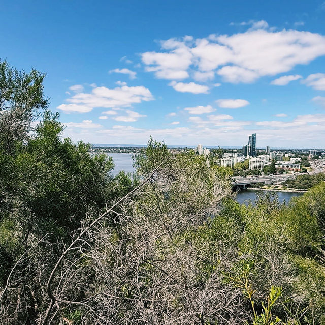 Kings Park and Botanic Garden 