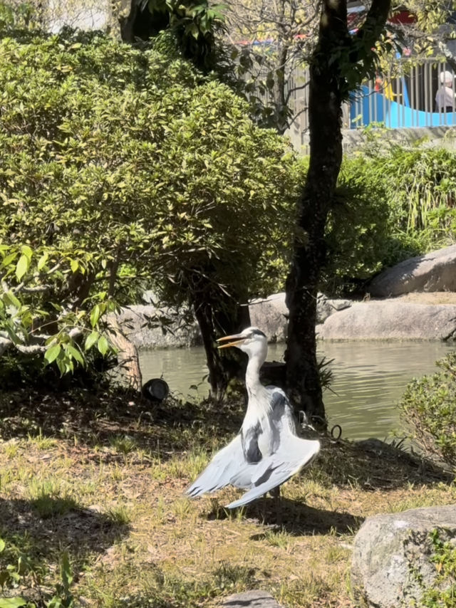 漫步學問與藝術的殿堂：太宰府天滿宮之旅
