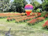 Songkhla Flower Farm