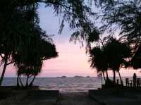 Holiday Specialty Coffee and Beach Bar