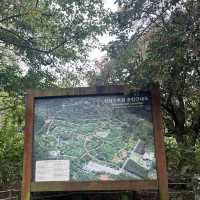 Halla Arboretum, Jeju Island,S.Korea