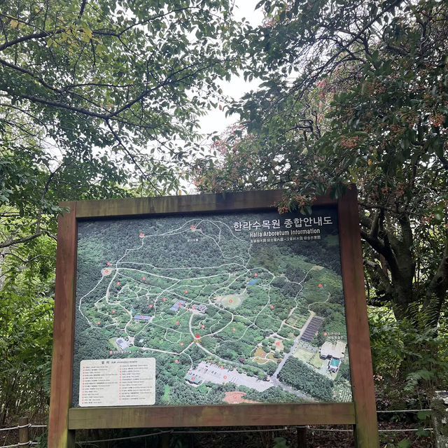 Halla Arboretum, Jeju Island,S.Korea