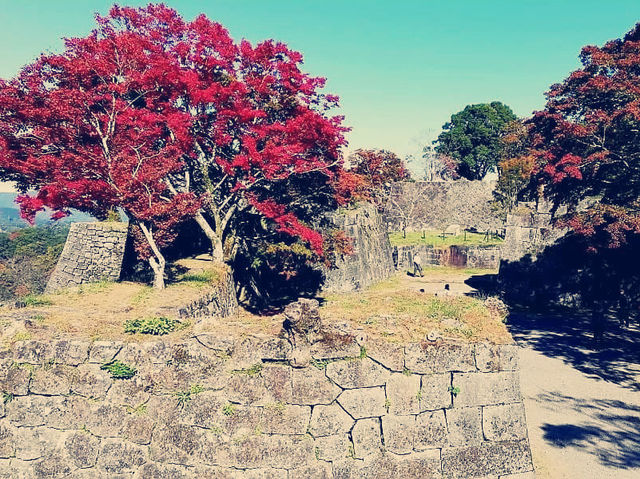 Where the Shogunate Began: My Solo Pilgrimage to Oka Castle