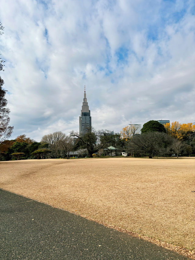 Blooming Escape at Shinjuku Gyoen 🌷