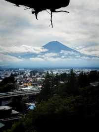 Sengen Park Escape🌳 Panorama view of Mt.Fuji