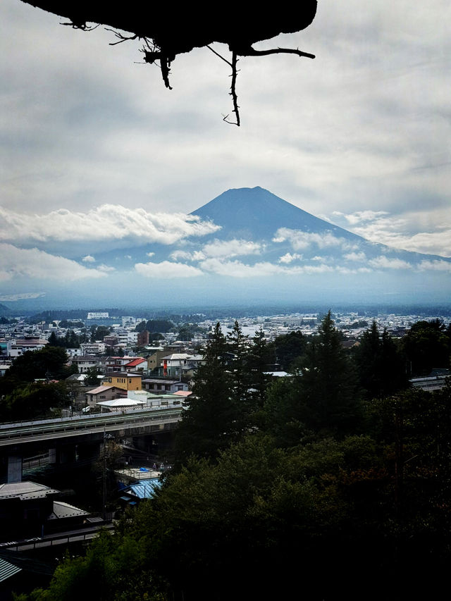 Sengen Park Escape🌳 Panorama view of Mt.Fuji