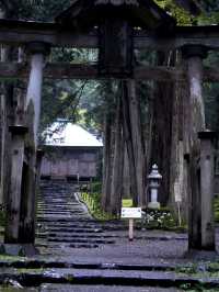 境内を覆う220種の苔  厳かで美しい景観