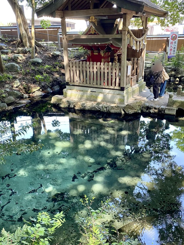 Sacred Springs & Sky-High Bridges: A Morning in Hitachi  Sacred Springs & Sky-High Bridges: A Morning in Hitachi