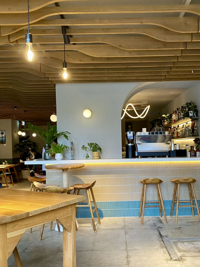 🌎 A Global Vibe at TENCUPS Café, Shibuya