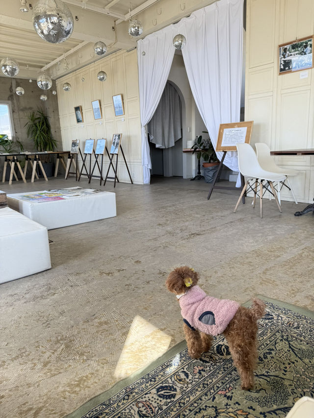 【神奈川】オーシャンビューカフェ