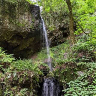 Shiratama Falls – A Hidden Gem of Niigata’s Mountain Serenity