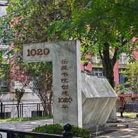 🎓 Hunan University — The Romance of Red Bricks and Sunshine 🌤