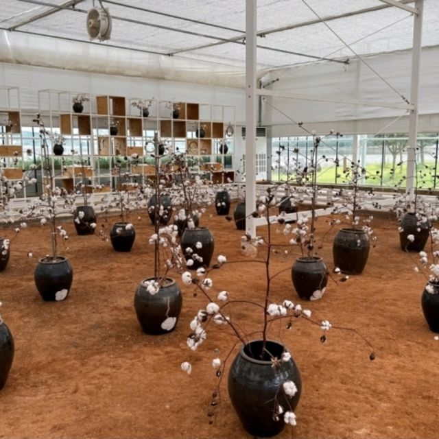 ๐ฟ ๊ณ ํ๋๋ชฉํ์ฒดํ์ฅ โ ๋ชฉํ์ ๋ฐ๋ค๊ฐ ํจ๊ปํ๋ ํ๋ง ์ฌํ ๐ฟ ๊ณ ํ๋๋ชฉํ์ฒดํ์ฅ โ ๋ชฉํ์ ๋ฐ๋ค๊ฐ ํจ๊ปํ๋ ํ๋ง ์ฌํ