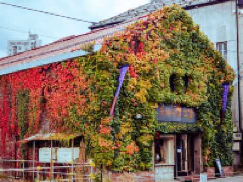 Autumn Vibes🍁in Otaru, Hokkaido