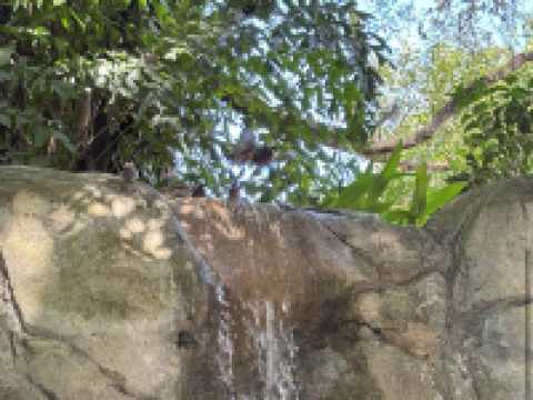 Kowloon Park 九龍公園