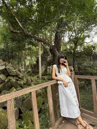 Siem Reap, Ancient Escape 🌿