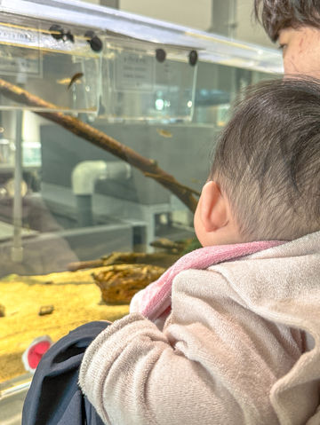 아기랑 삿포로여행에서 꼭 가봐야하는 가이드추천코스🐧 아기랑 삿포로여행에서 꼭 가봐야하는 가이드추천코스🐧