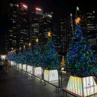 Strolling along here at night felt like walking into a postcard! The skyline lit up, the reflections on the water, and the cool breeze made it such a dreamy spot.