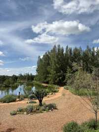 ไร่วันยังขำ คาเฟ่ โอพันเทีย และสวนสน