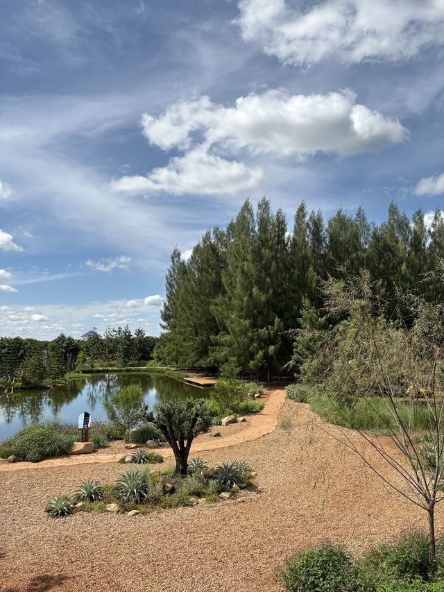 ไร่วันยังขำ คาเฟ่ โอพันเทีย และสวนสน ไร่วันยังขำ คาเฟ่ โอพันเทีย และสวนสน