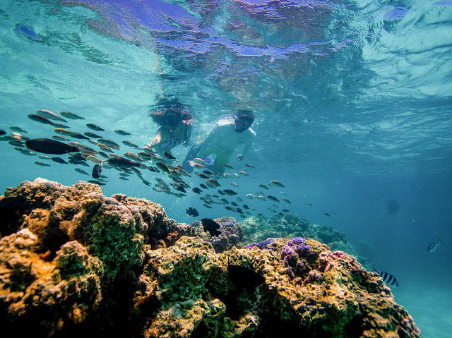 Vitamin Sea Bora Bora - Luxury catamaran in Bora Bora