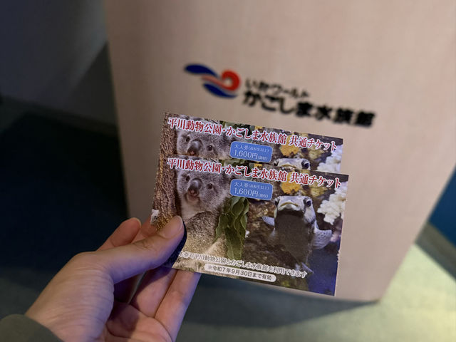 桜島も見える！ロケーション最高の水族館