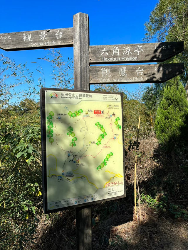 【新田步道・輕登小百岳-聚興山｜的山林小旅行】