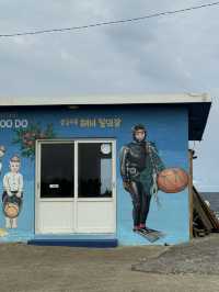 济州岛自然美景与烟火美食交织的舒心体验 💗