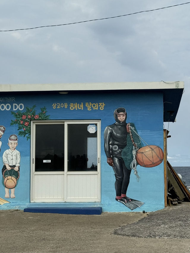 济州岛自然美景与烟火美食交织的舒心体验 💗 济州岛自然美景与烟火美食交织的舒心体验 💗