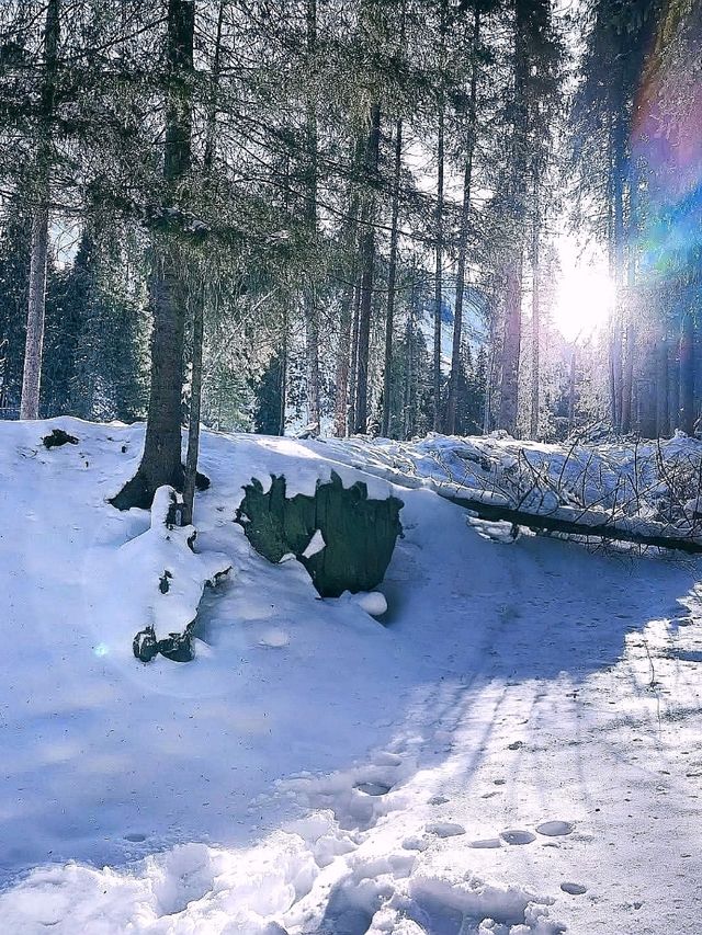 ✨ “Snowy Crown of Tianshan” ✨ ✨ “Snowy Crown of Tianshan” ✨