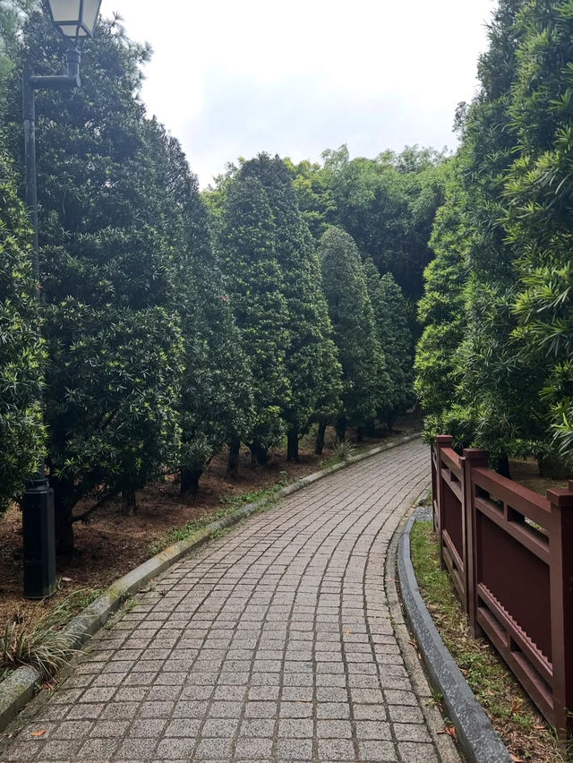 Chi Lin Nunnery Hong Kong