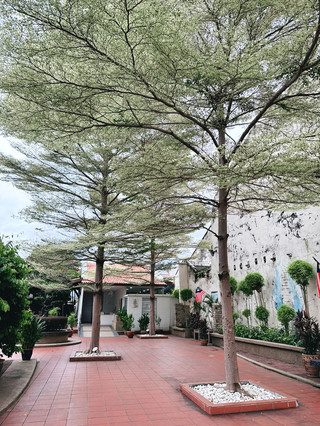 A Peaceful Break at Jonker Walk World Heritage Park