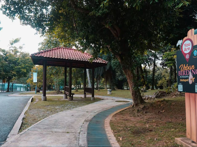 Urban Birding: Putrajaya’s Hidden Nature Hotspot 🕊️ Urban Birding: Putrajaya’s Hidden Nature Hotspot 🕊️