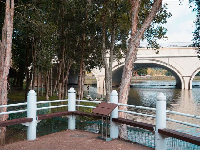 Nature’s Retreat: Putrajaya Wetlands 