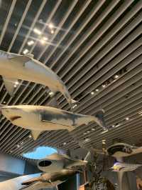 Shanghai Natural Museum 🐒🫎🦕🦖🦑🐋