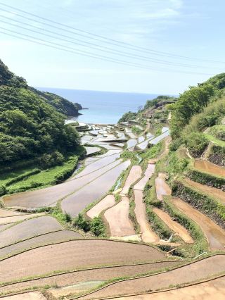 Enjoy the bounty of the sea, nature, and port town | Karatsu Day Trip