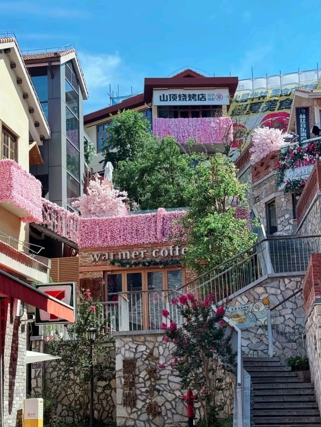 🇨🇳 武漢~「曇」花一現嗎?🌸🌺🌷 🇨🇳 武漢~「曇」花一現嗎?🌸🌺🌷