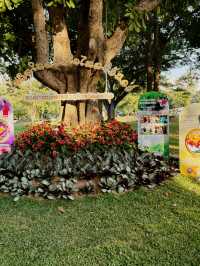 “Lampang Orchid & Aurora Festival”