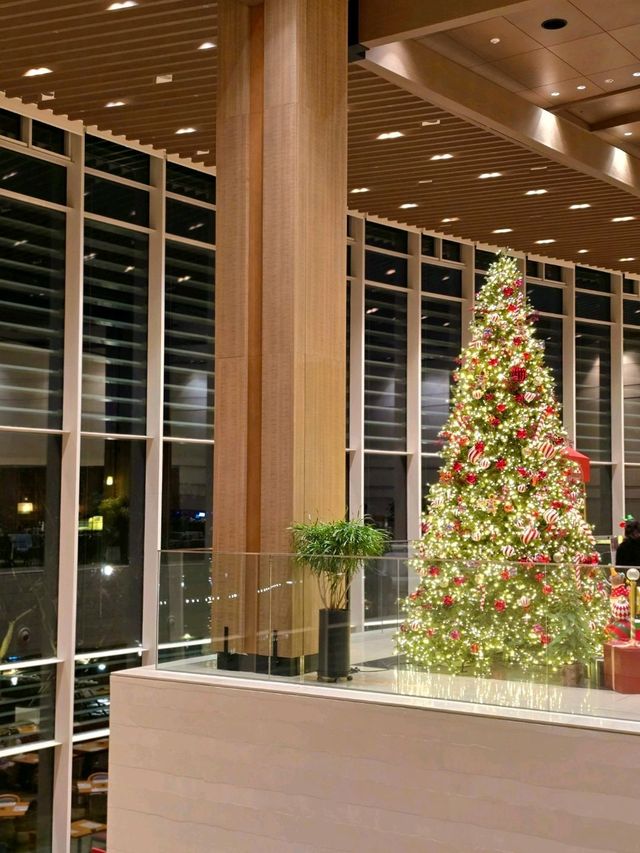 ๊ฒฝ์ฃผ์์ ๊ฐ์ฅ ์์ ํฌ๋ฆฌ์ค๋ง์ค ํธ๋ฆฌ๊ฐ ์๋๊ณณ๐ ๊ฒฝ์ฃผ์์ ๊ฐ์ฅ ์์ ํฌ๋ฆฌ์ค๋ง์ค ํธ๋ฆฌ๊ฐ ์๋๊ณณ๐