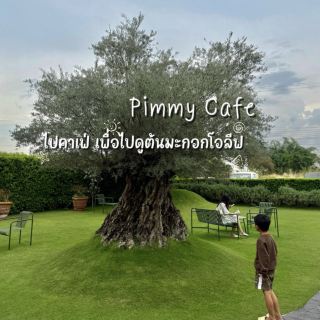 🌳ต้นมะกอกโอลีฟฮีลใจสุดสุด•Pimmy Cafe 🫶