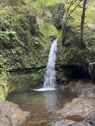 ⛰️

⛰️御岳山

東京で、

「自然に癒されたい人」

におすすめ✨

実はここ、

🚠 ケーブルカーで登山可能

🌿 東京とは思えない大自然

⛩️ 武蔵御嶽神社

全部楽しめる✨

しかも新宿から約2時間。

日帰りでも行ける
東京屈指のパワースポットです✨

✅メリット

🚠 ケーブルカーで気軽に登山

🌿 東京とは思えない大自然

⛩️ 武蔵御嶽神社参拝

🐕 愛犬と一緒に楽しめる

📸 絶景スポット多数

🍁 紅葉シーズンが特に人気

☀️ 夏は避暑地として最適

👨👩👧 家族旅行にもおすすめ

👫 カップル旅行にもおすすめ

📸 東京Vlogにもぴったり

特に朝の空気が最高✨

都内とは思えない静けさで、
心が本当にリフレッシュされる…。

⸻

🗓️おすすめプラン

🚃 新宿駅出発

⬇️

🚠 御岳登山鉄道ケーブルカー

⬇️

⛩️ 武蔵御嶽神社

⬇️

🌿 ロックガーデン散策

⬇️

☕ 山カフェ休憩

⬇️

🌅 絶景鑑賞

最高の東京自然旅完成✨

⸻

📍住所

東京都青梅市御岳山

💰料金

🚠 ケーブルカー往復

大人約1,200円前後

※料金改定の場合あり

🚃行き方

新宿駅

⬇️

JR青梅線「御嶽駅」

⬇️

西東京バス約10分

⬇️

滝本駅

⬇️

御岳登山鉄道ケーブルカー

🗺️周辺情報

⛩️ 武蔵御嶽神社

🌿 ロックガーデン

💧 七代の滝

🌲 奥多摩エリア

🏞️ 日の出山

USP✨

「東京とは思えない大自然 × パワースポット × 日帰り絶景旅」

都心から約2時間で行ける、
東京最強クラスの癒しスポット✨

🎁旅行の帰りは奥多摩温泉や青梅観光もおすすめ!

#御岳山 #東京観光 #東京旅行 #奥多摩 #登山 #ハイキング #パワースポット #武蔵御嶽神社 #日帰り旅行 #絶景スポット #自然スポット #東京デート #家族旅行 #カップル旅行 #保存必須