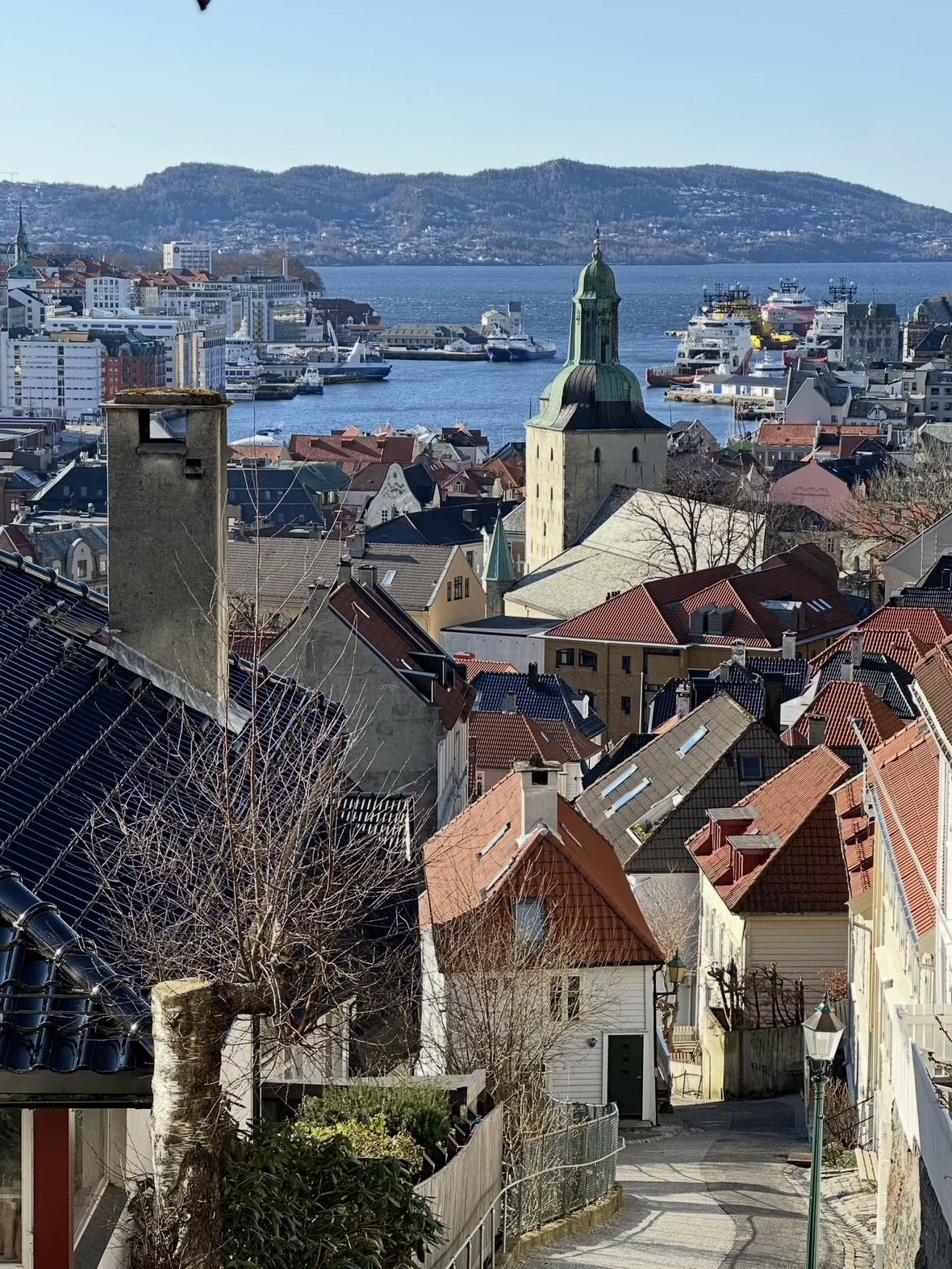  Bergen，挪威｜奪走我心的童話城市 